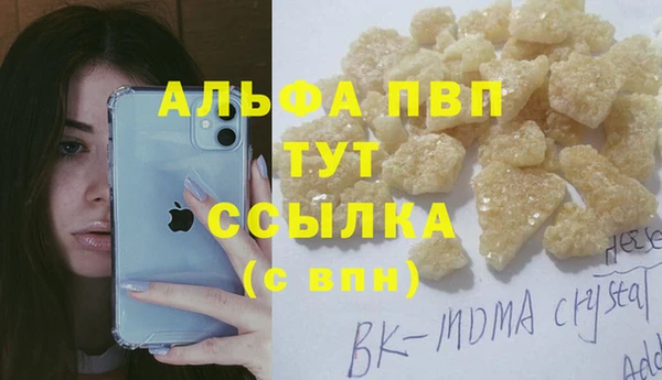 прущие крисы Верея